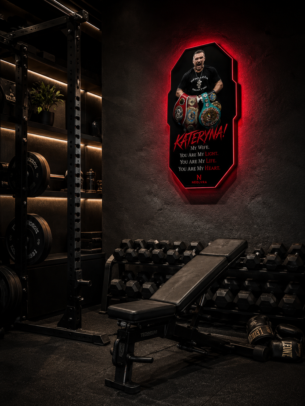 Usyk insegna led premium