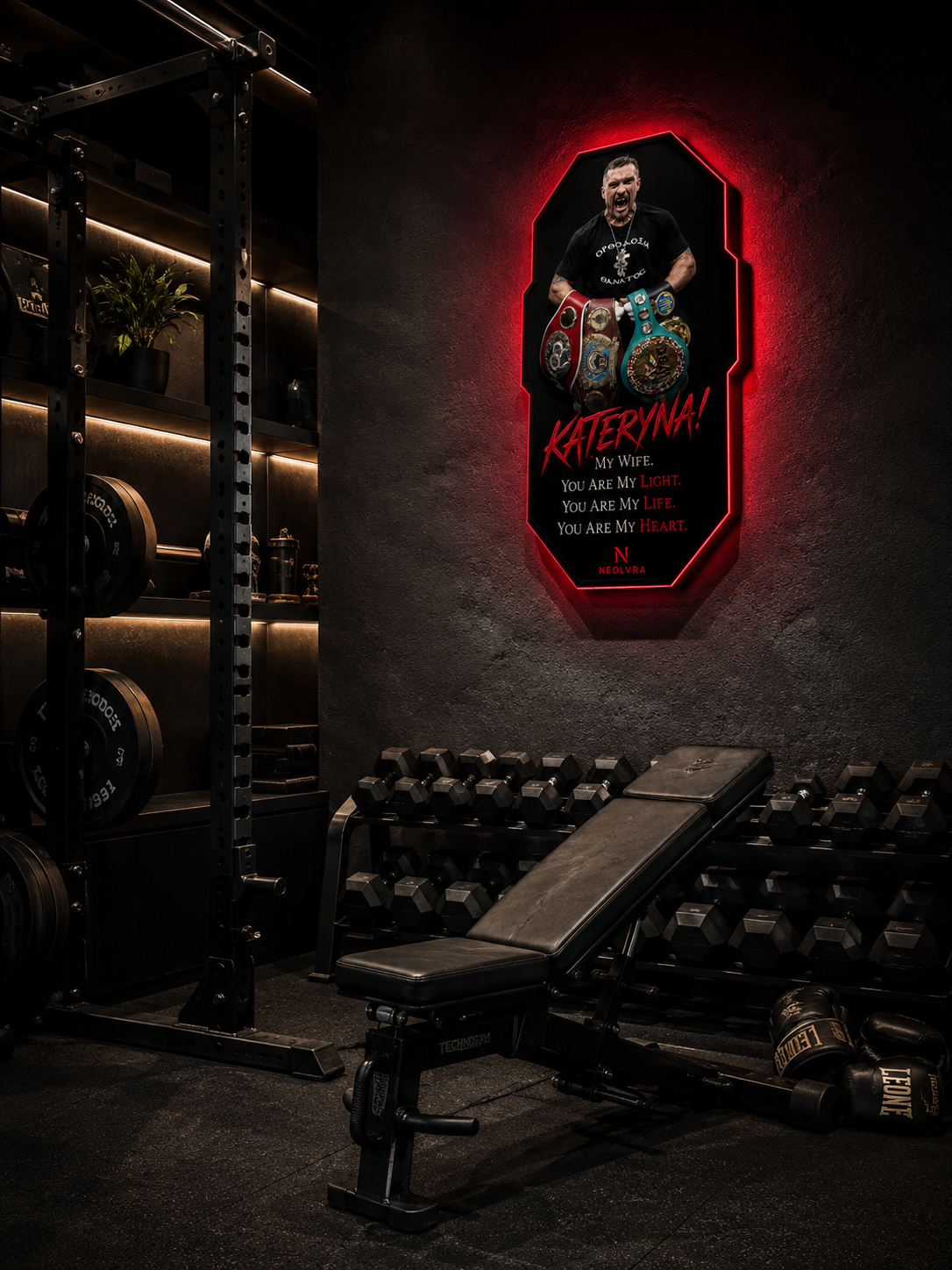 Usyk insegna led premium